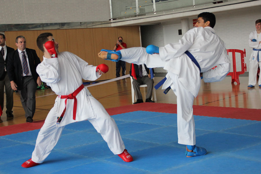 I Trofeo Internacional de Kárate Ciudad de Pamplona